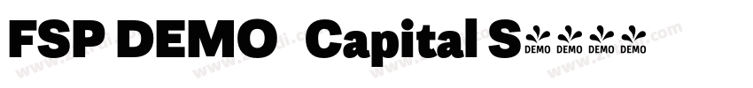 FSP DEMO   Capital S字体转换